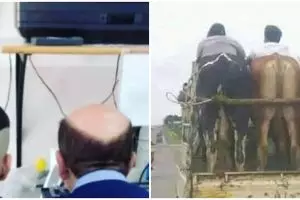 11 Momen orang difoto dari belakang, penampakannya saling melengkapi