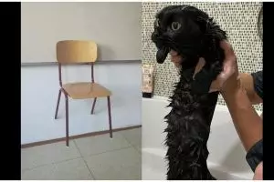 Sulit dicerna, 17 potret absurd ini harus dilihat lebih dua kali agar kamu paham