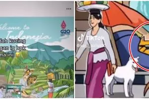 Terungkap kucing oren yang muncul di postingan Presiden Jokowi, ada hubungannya dengan sang cucu?