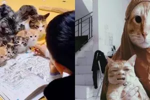 11 Kelakuan kocak warga +62 bareng kucing ini bikin cengar-cengir