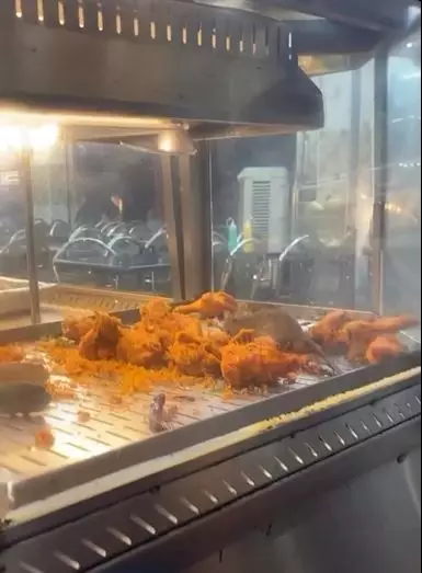 etalase ayam goreng ini dijamah tikus @zoeyhanafiah