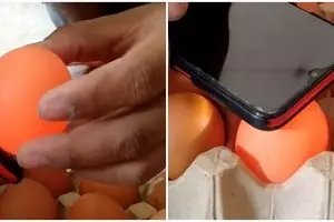 Tak perlu direndam air, begini cara membedakan telur yang masih segar dan sudah busuk