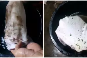 Cara bersihkan noda minyak dan saus di baju putih, kinclong seperti baru