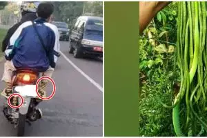 11 Momen lucu susah bedain benda ini bikin hampir terkecoh