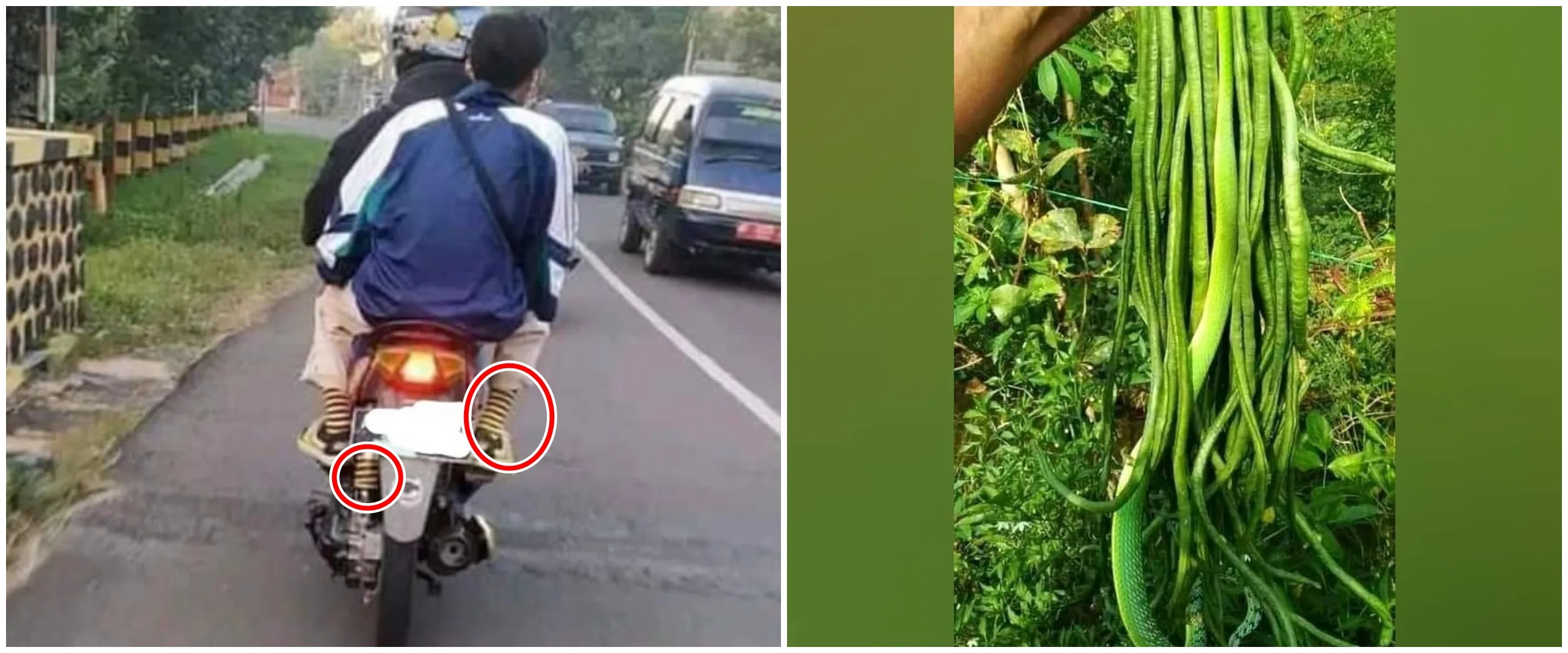 11 Momen lucu susah bedain benda ini bikin hampir terkecoh