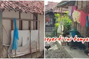 Rumah triplek ini tampak sederhana dari luar tapi dalamnya bikin takjub, intip 9 potretnya