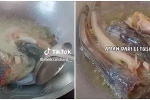 Tanpa diberi tepung, ini cara praktis goreng lele agar minyak tidak meletup