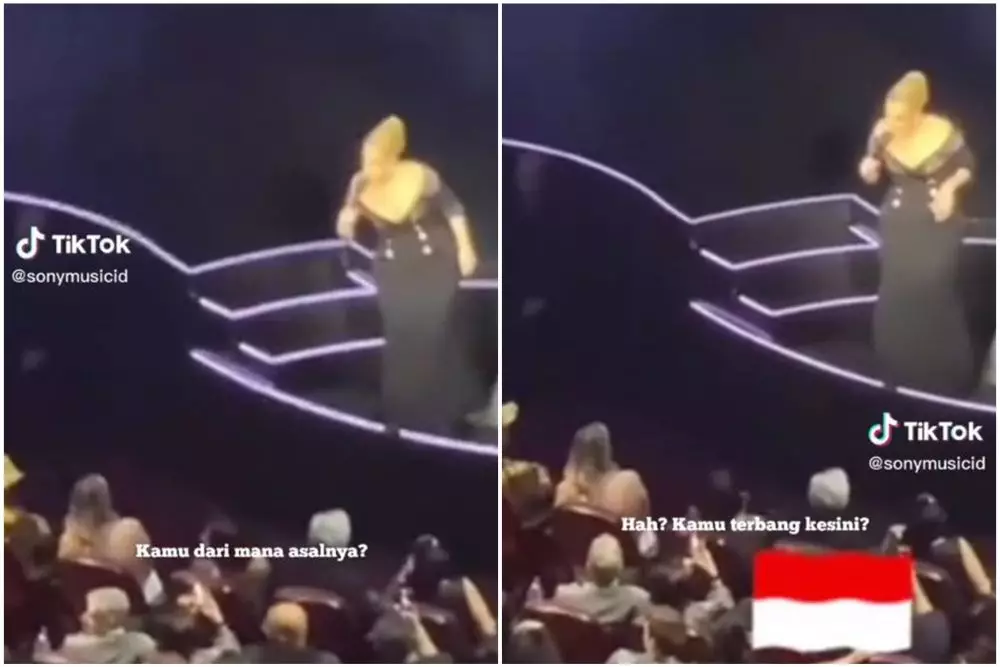 adele menangis di konser © TikTok adele menangis di konser © TikTok