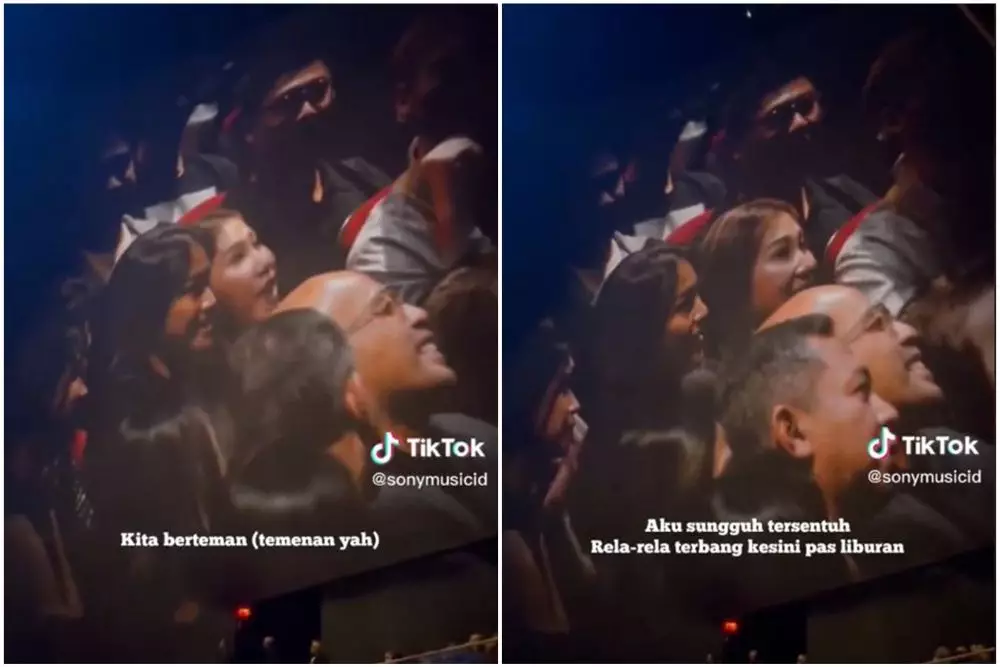 adele menangis di konser © TikTok adele menangis di konser © TikTok