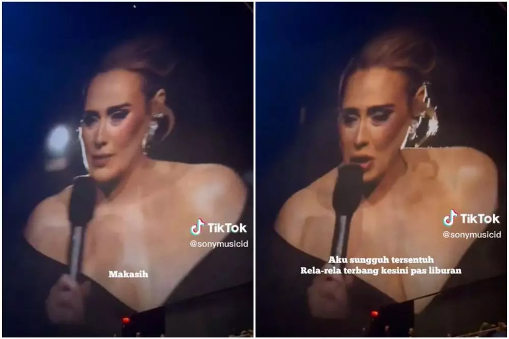adele menangis di konser © TikTok adele menangis di konser © TikTok