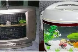 11 Modifikasi nggak biasa dari elektronik bekas ini bikin nyengir