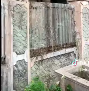 7 potret rumah mewah yang bikin merinding setelah direnovasi © 2023 brilio.net 7 potret rumah mewah yang bikin merinding setelah direnovasi © 2023 brilio.net