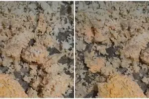 Trik menjemur nasi tanpa sinar matahari, tidak berjamur dan tetap kering saat hujan