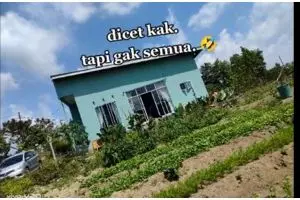 Menyatu dengan alam, 9 potret rumah di kelilingi sawah dan kebun ini punya desain modern minimalis