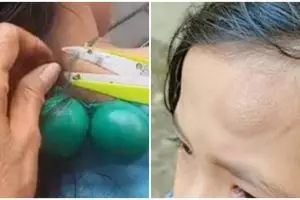 Sedang banyak digandrungi, begini penampakan bocah main lato-lato yang berujung apes