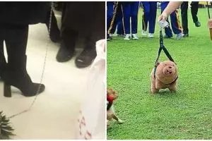 9 Kelakuan absurd punya 