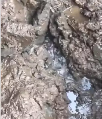 mata air dekat makam Eril © 2023 brilio.net