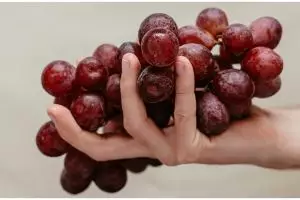 Bukan dicabut satu per satu, ini trik lepaskan banyak anggur dari tangkai dengan cepat pakai satu alat