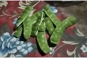 Cara ampuh mengolah petai sekaligus kulitnya sebelum digoreng agar tak pahit dan matang sempurna