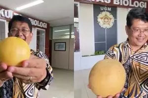 Berawal dari keluhan emak-emak, dosen UGM ini berhasil ciptakan melon seukuran apel