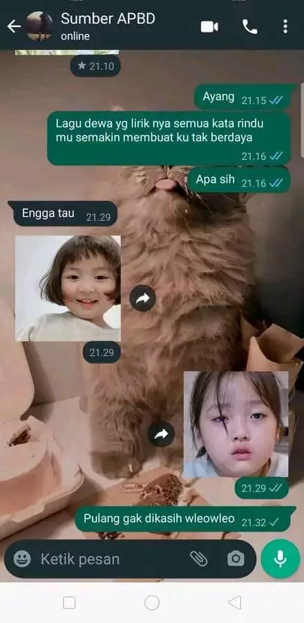chat malah salah sasaran ngeselin nyeleneh © berbagai sumber