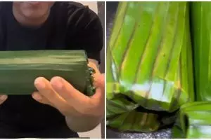 Trik simpel membungkus nasi bakar pakai daun pisang, rapi dan kokoh tanpa lidi