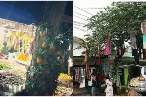 11 Tingkah nyeleneh orang saat jualan ini bikin heran, ada yang digantung di pohon