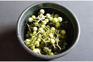 Pakai 1 bumbu dapur, ini trik ampuh mengurangi rasa pahit terong pipit