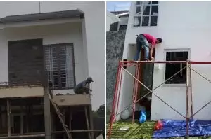 Wanita ungkap renovasi rumah berkali-kali bak drama FTV azab, makeover rumah dikira punya pesugihan