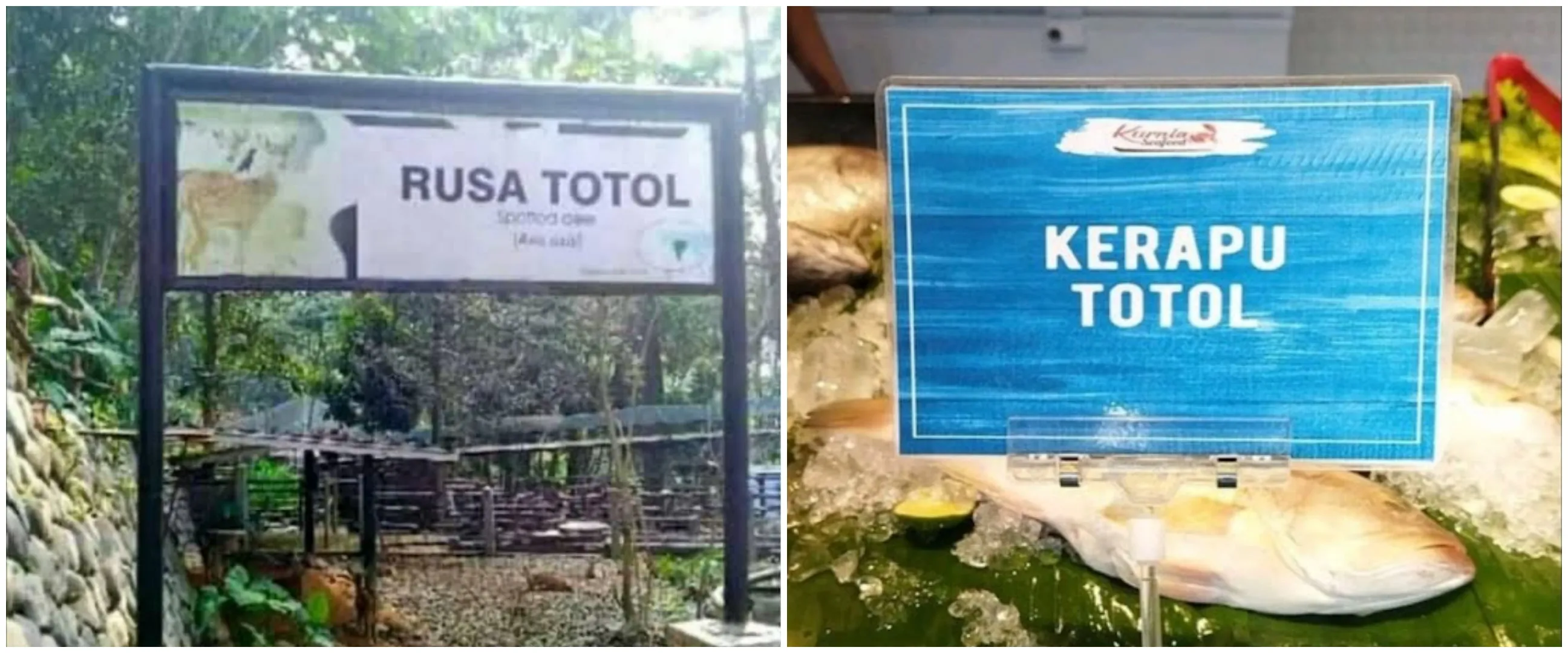 Rawan salah baca, 11 tulisan di tempat umum ini bikin lihat dua kali