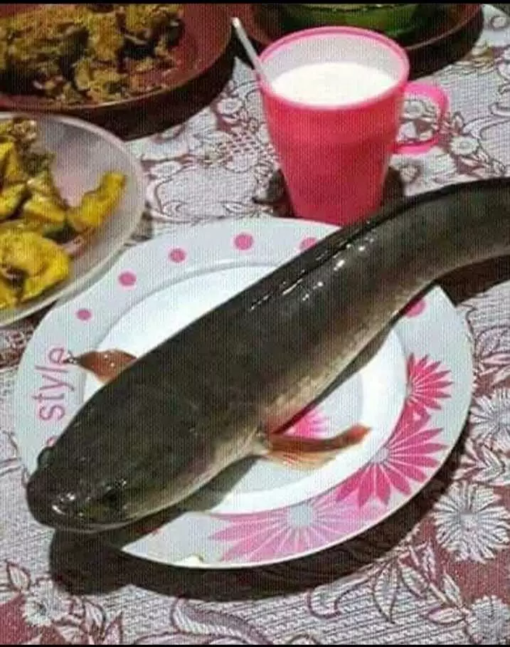 makan ikan Ini Bikin tepuk Jidat  © 2023 brilio.net