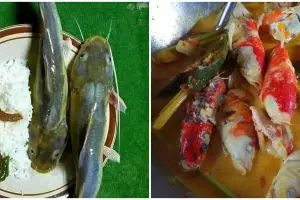 11 Cara orang konsumsi ikan ini bikin tepuk jidat, nyelenehnya nggak ketolong