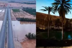 Meski tak punya sungai, ini alasan Arab Saudi tetap punya wilayah pertanian alami meski sulit air