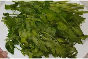 Trik jitu menyimpan daun seledri agar tetap awet selama berbulan-bulan