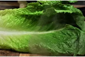 Bukan pakai es batu, ini cara mengembalikan selada romaine yang layu jadi segar lagi