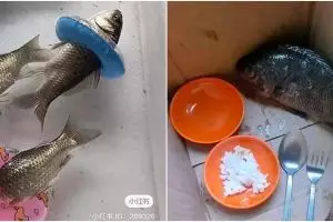 Nggak habis pikir, 11 aksi nyeleneh orang pelihara ikan ini bikin pencinta hewan elus dada