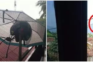 11 Aksi nyeleneh orang jemur barang ini kreatifnya nggak ada lawan