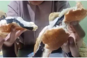 Tak banyak yang tahu, ini cara agar isian cokelat pada roti lebih lezat dan lumer