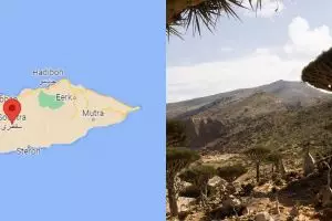 Pulau Socotra dikenal sebagai tempat persembunyian dajal, kenapa ya?