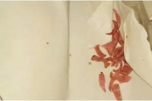 7 Momen apes makan kebab ini bikin perut mendadak kenyang, ada-ada saja