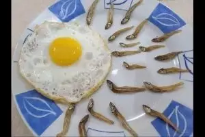 Makanan sejuta umat, 13 kreasi menu dari telur ini bikin nafsu makan turun