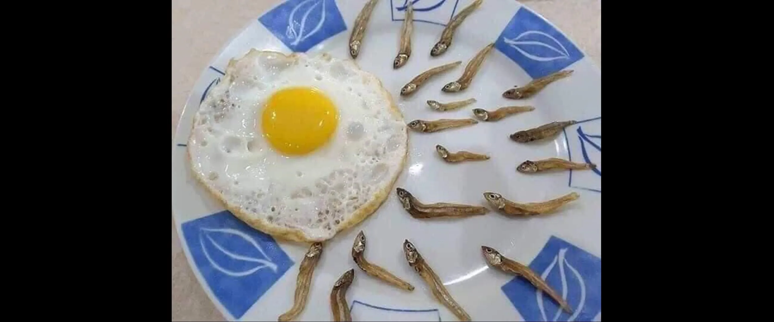 Makanan sejuta umat, 13 kreasi menu dari telur ini bikin nafsu makan turun