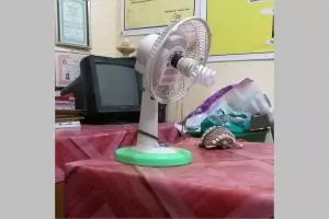 11 Potret modifikasi barang rusak jadi alat tak terduga ini idenya di luar dugaan