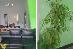 Potret rumah tahun 1950-an ini disulap jadi hunian estetik kekinian, intip 9 potretnya