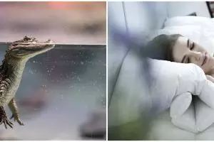 11 Arti mimpi dikejar buaya, bikin merinding dan memacu adrenalin