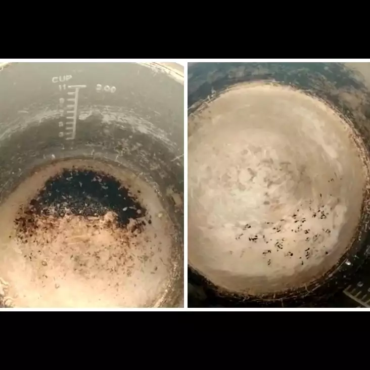 Cara membersihkan noda gosong di panci rice cooker, cukup pakai satu bahan dapur