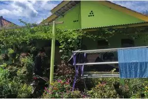 Sejuk dan sedap dipandang, 11 potret interior rumah full tanaman hias ini nyaman dan bikin betah