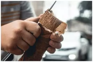 Cara menyimpan singkong parut agar tidak basi sampai berbulan-bulan