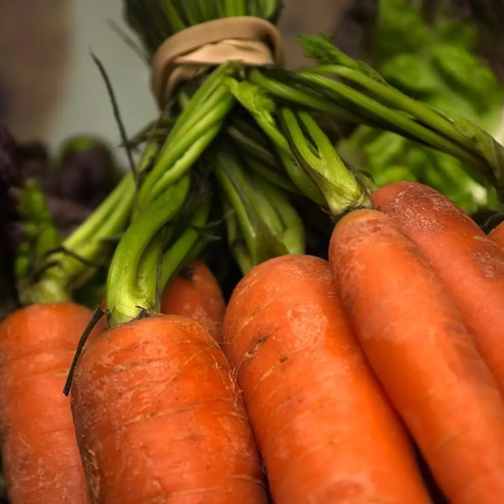 11 Manfaat wortel untuk ibu hamil, dapat mencegah kram otot hingga meningkatkan kekebalan tubuh