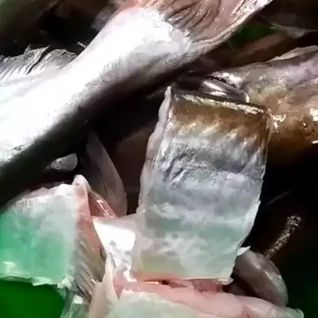 Cuma pakai bahan-bahan dapur, ini cara ampuh hilangkan bau amis di ikan patin